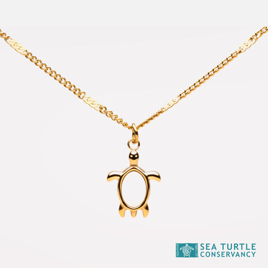 Turtle Guardian Necklace